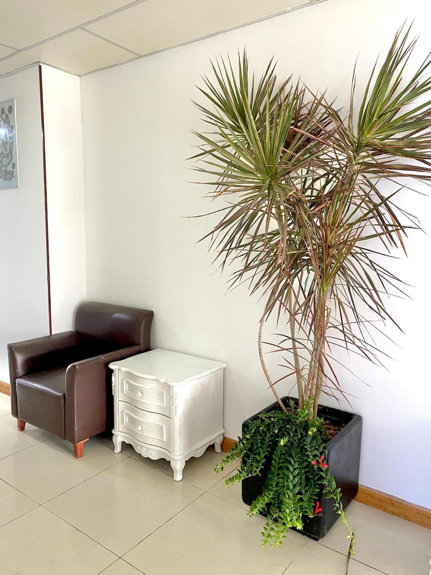 Zozo House - Homestay Bai Sau Вунг Тау Екстериор снимка